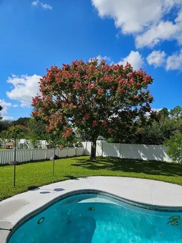 24088 Flora Parke Boulevard Fernandina Beach FL 32034
