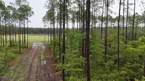 6008 Us Highway 301 Bryceville FL 32009