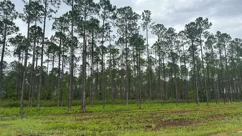 6008 Us Highway 301 Bryceville FL 32009