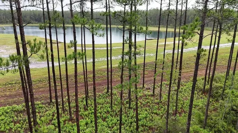 6008 Us Highway 301 Bryceville FL 32009