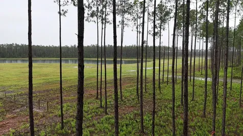 6008 Us Highway 301 Bryceville FL 32009