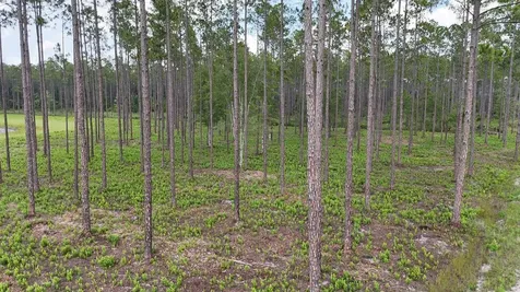 6064 Us Highway 301 Bryceville FL 32009