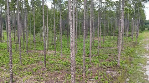 6064 Us Highway 301 Bryceville FL 32009