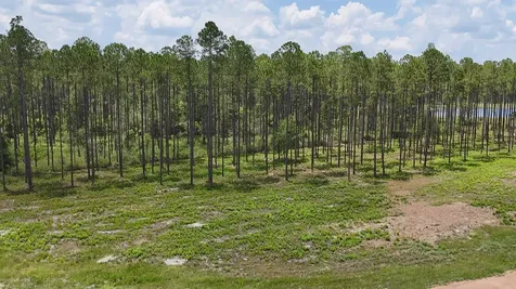 6064 Us Highway 301 Bryceville FL 32009