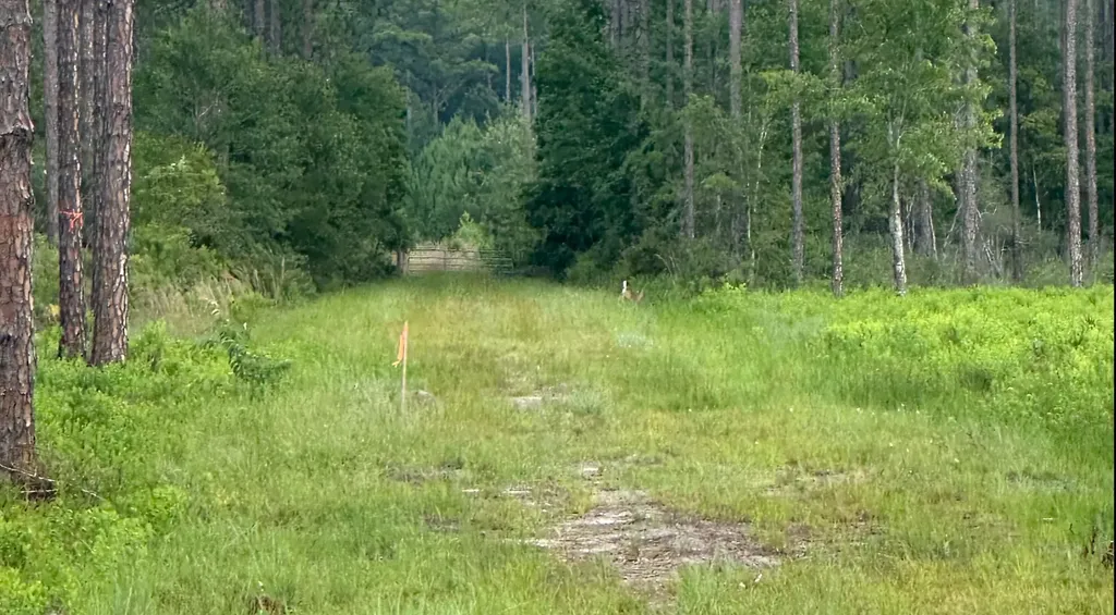 6136 Us Highway 301 Bryceville FL 32009