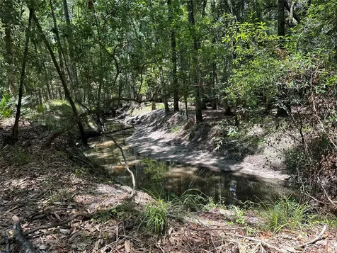 6136 Us Highway 301 Bryceville FL 32009