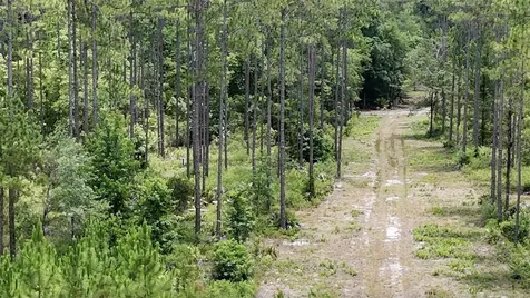 6136 Us Highway 301 Bryceville FL 32009