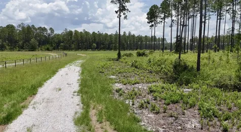 6136 Us Highway 301 Bryceville FL 32009