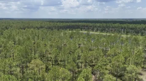 6136 Us Highway 301 Bryceville FL 32009