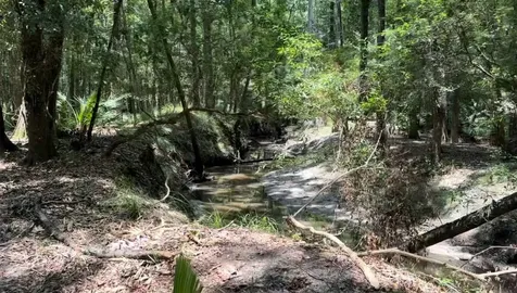 Lot 1 Us Highway 301 Bryceville FL 32097
