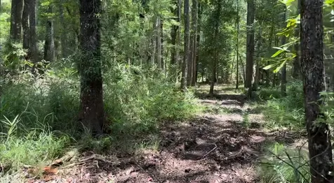 Lot 1 Us Highway 301 Bryceville FL 32097