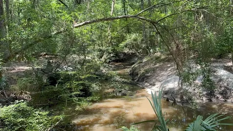 Lot 1 Us Highway 301 Bryceville FL 32097