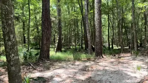 Lot 1 Us Highway 301 Bryceville FL 32097