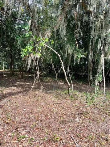 N 13th Terrace Fernandina Beach FL 32034