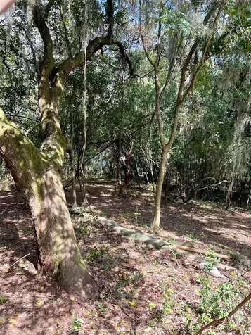 N 13th Terrace Fernandina Beach FL 32034