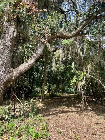 N 13th Terrace Fernandina Beach FL 32034