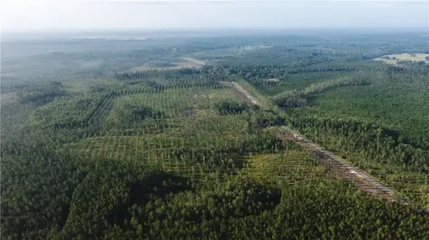 Lot 2 County Road 121 Hilliard FL 32046
