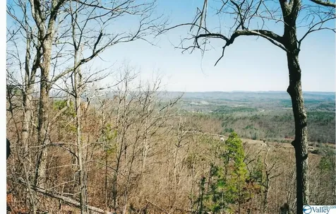 Lot 67 County Road 103 Mentone AL 35984