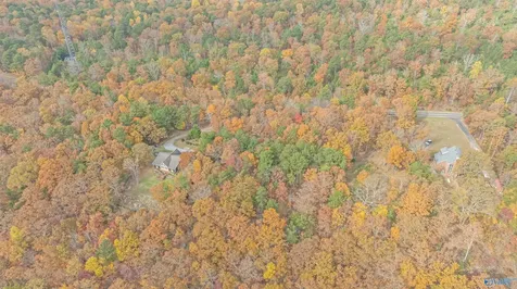 Lot 67 County Road 103 Mentone AL 35984