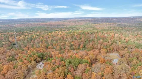 Lot 67 County Road 103 Mentone AL 35984
