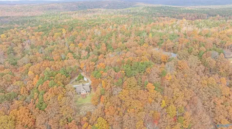 Lot 67 County Road 103 Mentone AL 35984