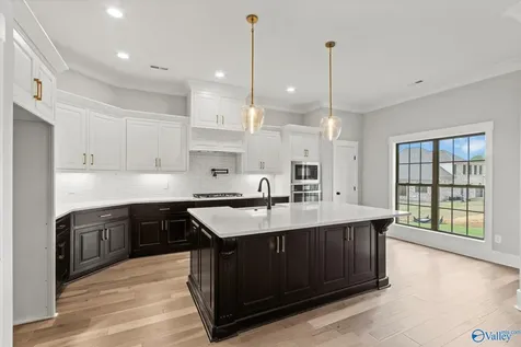 22566 Mary Grace Drive Athens AL 35613