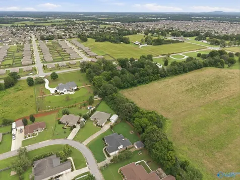24859 Mahalo Circle Madison AL 35756