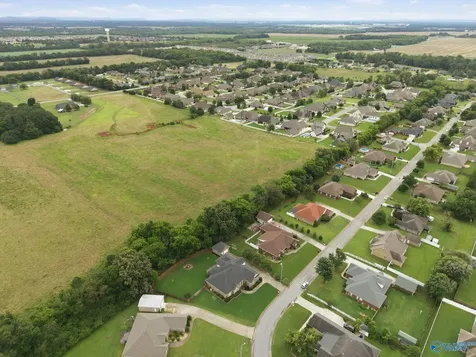 24859 Mahalo Circle Madison AL 35756