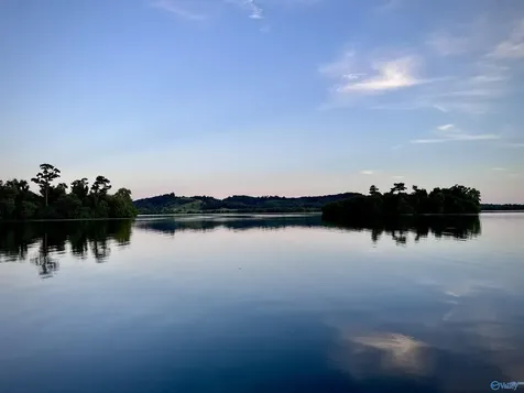 40 Buttercup Drive Guntersville AL 35976