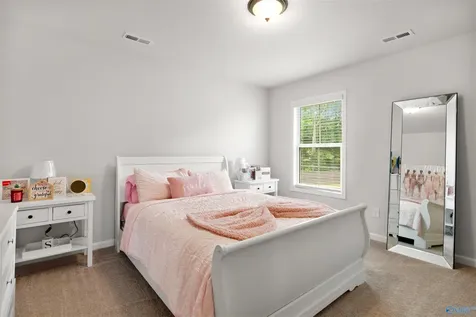 217 Shubert Drive Hazel Green AL 35750