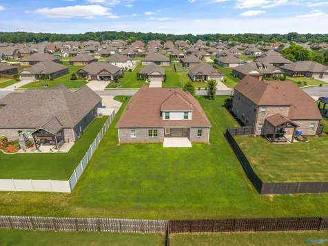 22529 Oakdale Ridge Lane Athens AL 35613