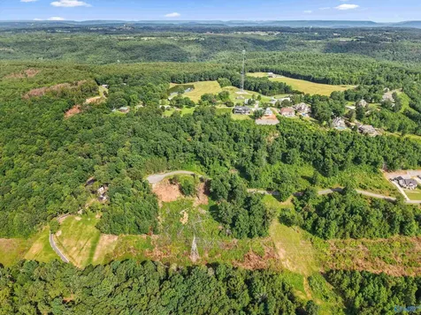 423 Keene Point Drive Grant AL 35747