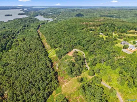 423 Keene Point Drive Grant AL 35747