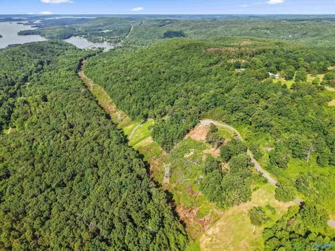 423 Keene Point Drive Grant AL 35747