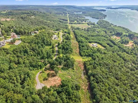 423 Keene Point Drive Grant AL 35747