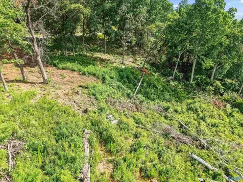 423 Keene Point Drive Grant AL 35747