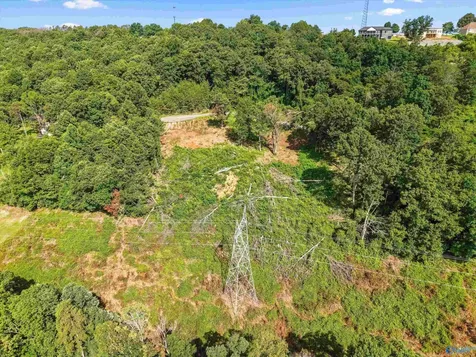 423 Keene Point Drive Grant AL 35747