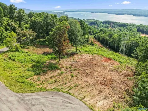 423 Keene Point Drive Grant AL 35747