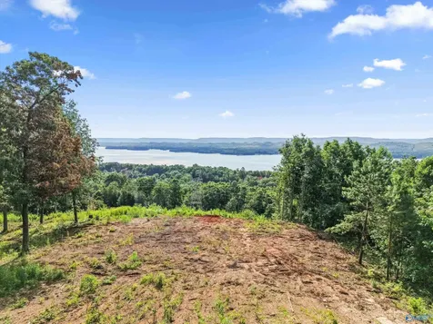 423 Keene Point Drive Grant AL 35747