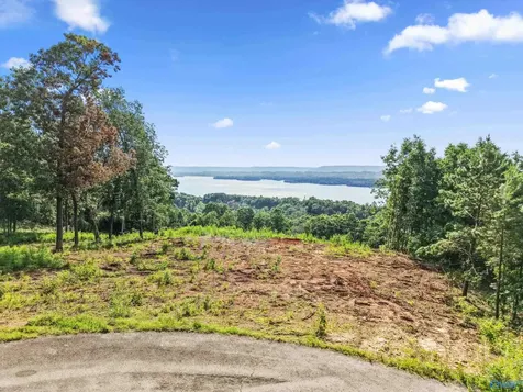 423 Keene Point Drive Grant AL 35747