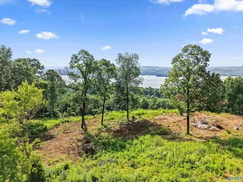 423 Keene Point Drive Grant AL 35747