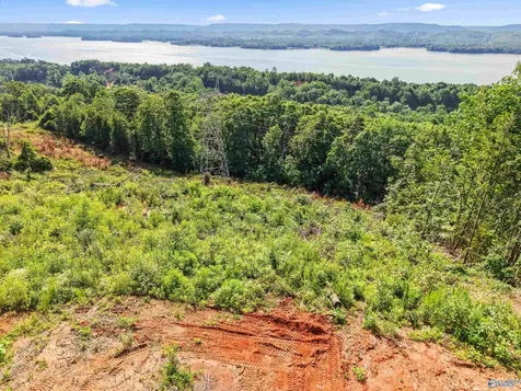 423 Keene Point Drive Grant AL 35747