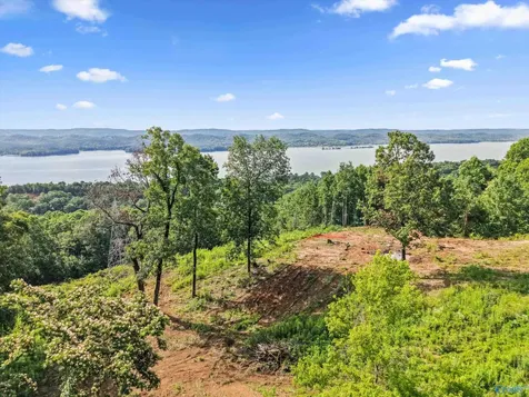 423 Keene Point Drive Grant AL 35747