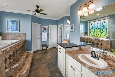 1321 Cardessa Lane Grant AL 35747