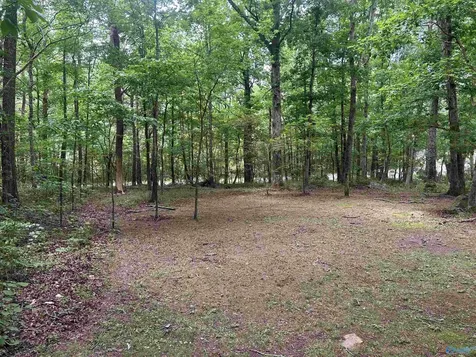 1982 County Road 106 Mentone AL 35984