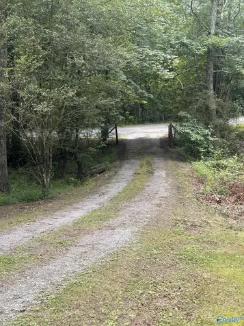 1982 County Road 106 Mentone AL 35984