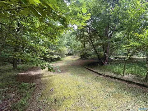 1982 County Road 106 Mentone AL 35984
