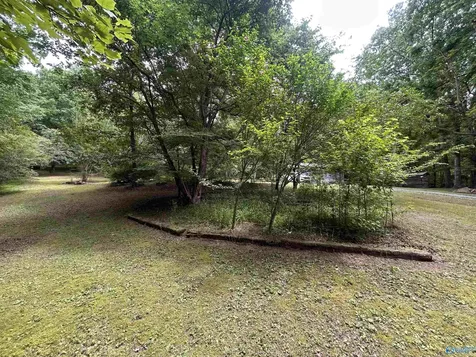 1982 County Road 106 Mentone AL 35984