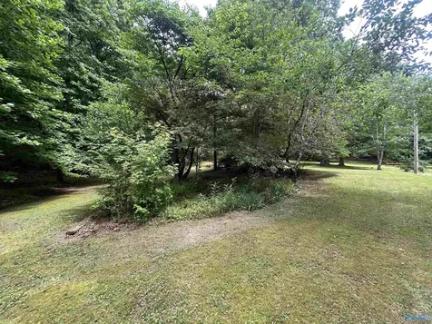 1982 County Road 106 Mentone AL 35984