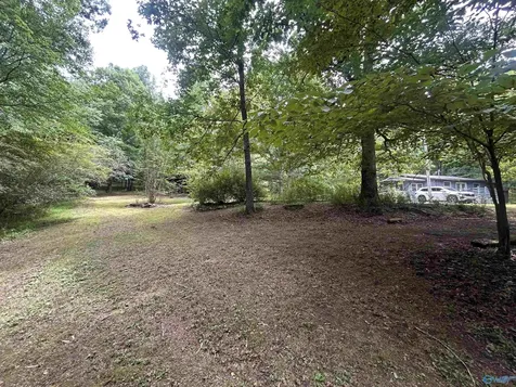 1982 County Road 106 Mentone AL 35984